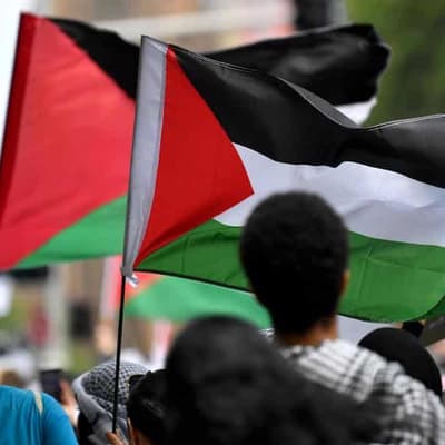 Palestine flag claim attempts to rewrite history