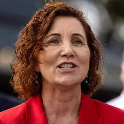 Women's advocate runs for Labor in Peta Murphy's seat