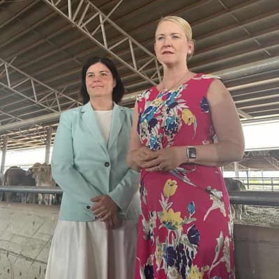 Ex-NT deputy chief minister to retire from politics