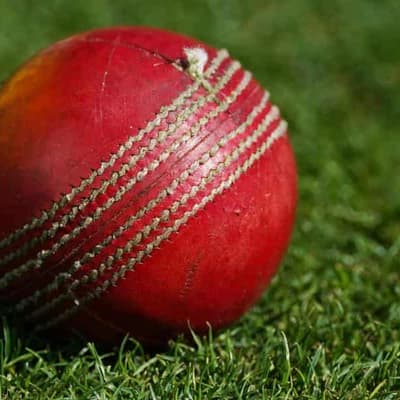 Aussie pilot Naqvi flying high in cricket's 300 club