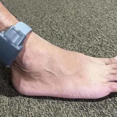 Terror accused released despite bail breach charges