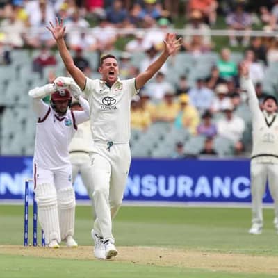 Aussie paceman Hazlewood shrugs off Test milestone