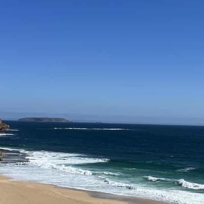 Body found in search for swimmer swept out to sea