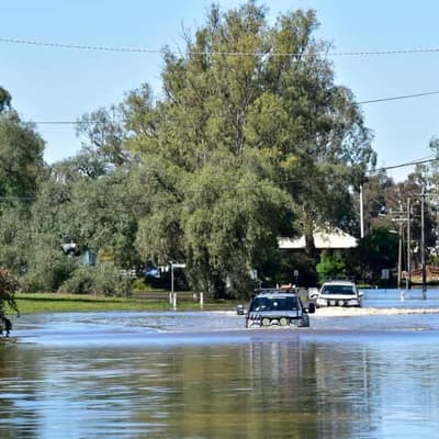 Insurance fund for flood-prone areas: legal advocates