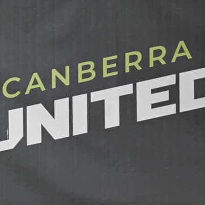 Interest in 16-team A-League expansion cools