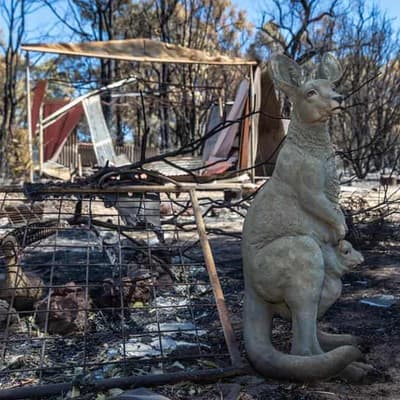 Charges dropped over bushfire that razed 86 homes