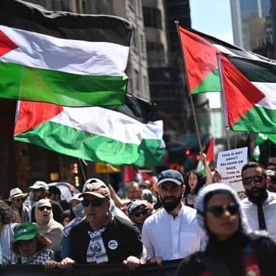 Demilitarisation a key to Palestine statehood: Albanese