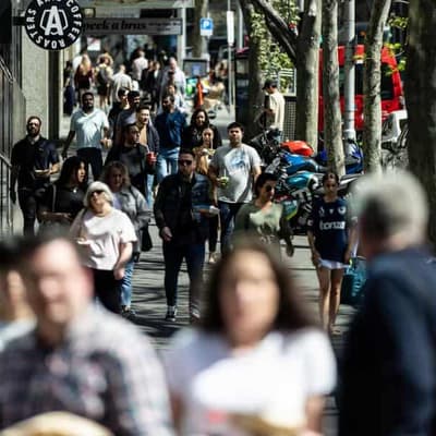 Labour market holding up as job ad levels stabilise