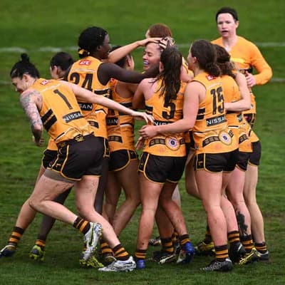 Hawthorn appoint Daniel Webster as new AFLW coach