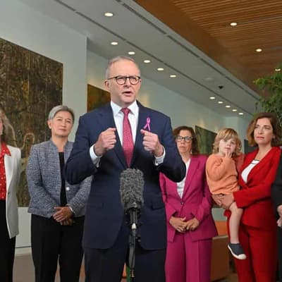 Albanese pledge on domestic violence and harassment