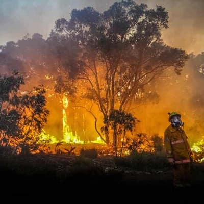Homes lost and firefighters injured as bushfires rage