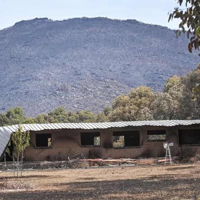 Bushfire evacuees return to homes and businesses