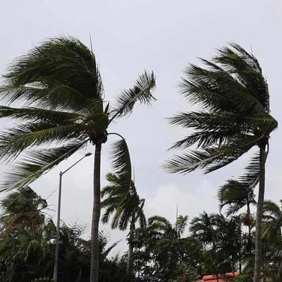Cyclone downgraded but Top End braces for more rain
