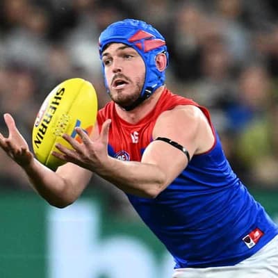 Retired Dee Brayshaw urges AFL to do more on concussion