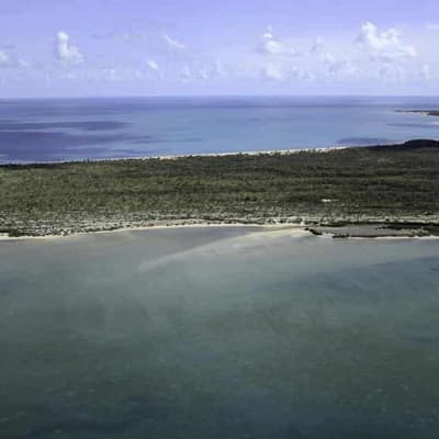 'Concerning' NT land council referred to integrity body