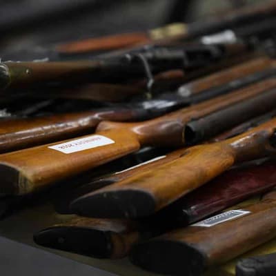 Liberals, Labor 'overrule' police on gun licence laws