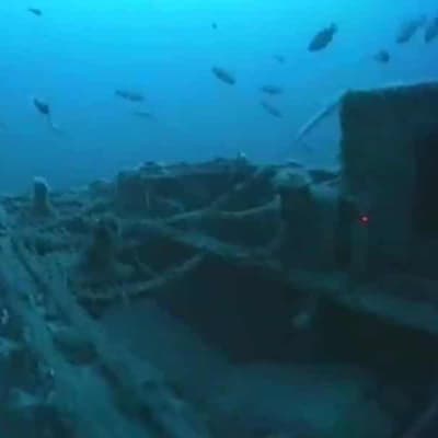 Century-old shipwreck found on ocean floor