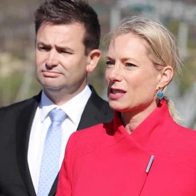 Tasmanian Labor promises to sell stake in power cable