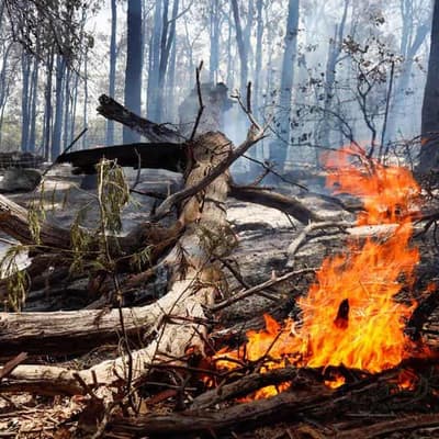 'All clear' for downgraded bushfire in WA's south