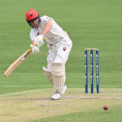 McSweeney helps SA hang on for dramatic Shield draw