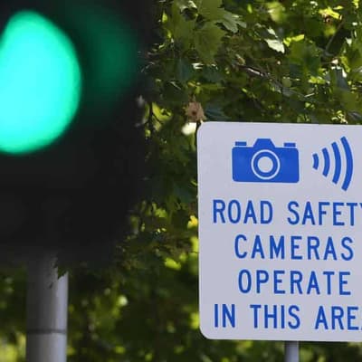 Probe into COVID 'cooker culture' driving up road toll