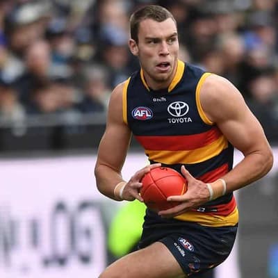 Adelaide's injured Thilthorpe out for three months