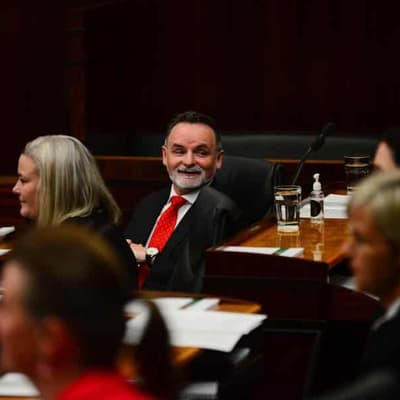 Tasmanian Labor 'naive' about stadium: former leader