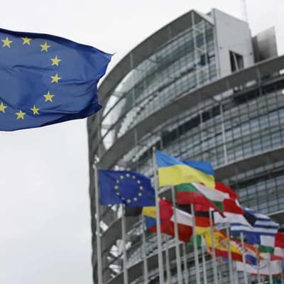Claims child sex abuse legalised in EU is sick disinformation