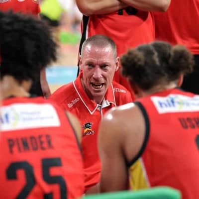 Coach defends Wildcats as Tasmania 'defend the island'