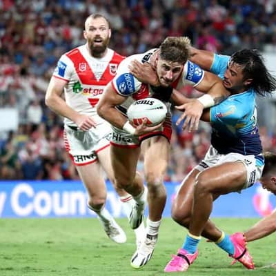 Unhappy Lomax can take flight on Dragons wing: Bird