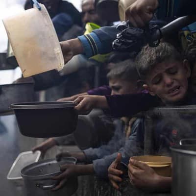 Israel strike kills six awaiting aid, says Palestine