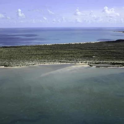 Tropical cyclone Megan likely to form over NT coast