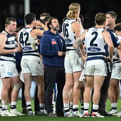 Cats strike balance between youth and experience: coach
