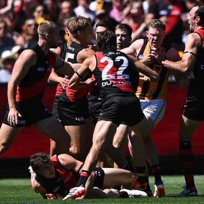 McGrath goes in to bat for Sicily after AFL suspension
