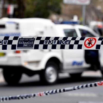 'Horrifying' screams in alleged hit and run over dogs