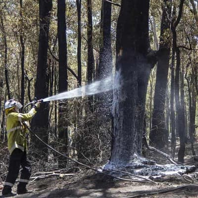 Blaze threatens lives and homes south of Perth