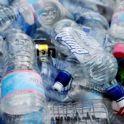 Bottle and can deposits reap millions and billions