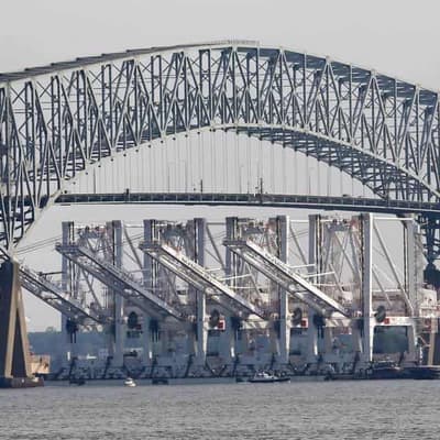 US bridge collapses after struck by ship, search for 7