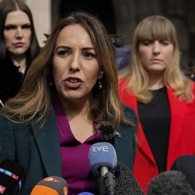 Assange deserves 'humane and fair treatment': Labor