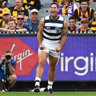 Hawkins lights up MCG as Cats beat Hawks