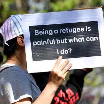 'Black box' hearings prejudice refugee claims: research