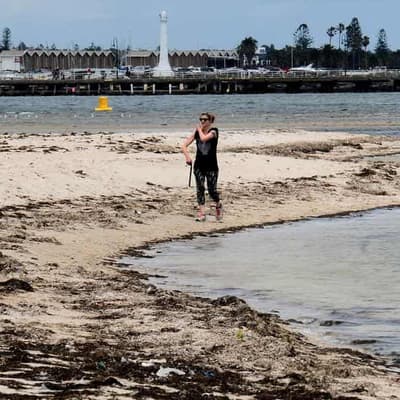 Swim warning at dozens of Victorian beaches after rain