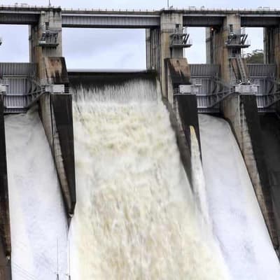 Winds after saturating rain threaten to topple trees