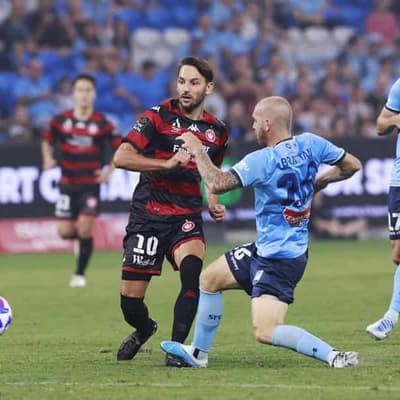 Retirement-bound Ninkovic keeping lid on Sydney derby