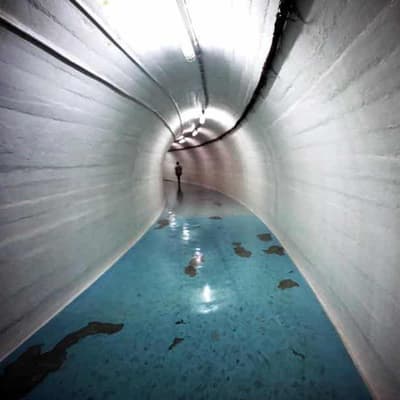 Truth shafted in 'secret' Sydney tunnel videos