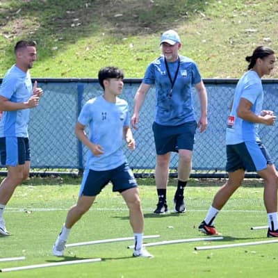 Talay's tough training steels Sydney for ALM title bid