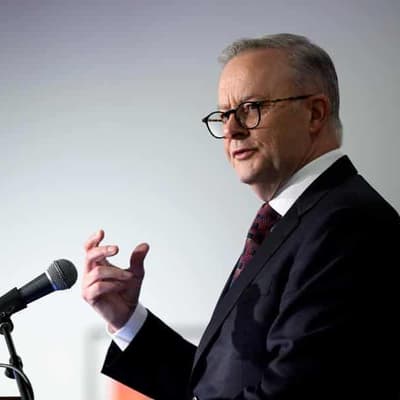 Critical minerals loan will help export sector grow: PM