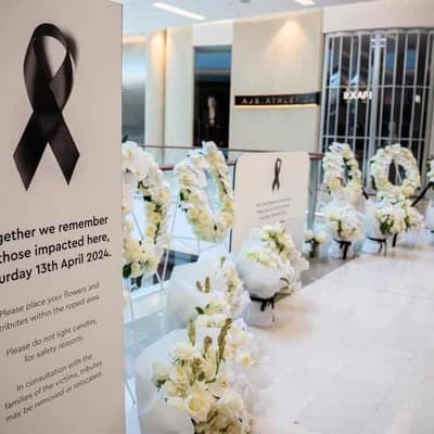 Australia has a 'crisis' of male violence: Dreyfus