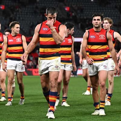 AFL admits to umpire error in not penalising Draper