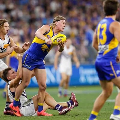 Reid mania goes into overdrive as Eagles beat Dockers